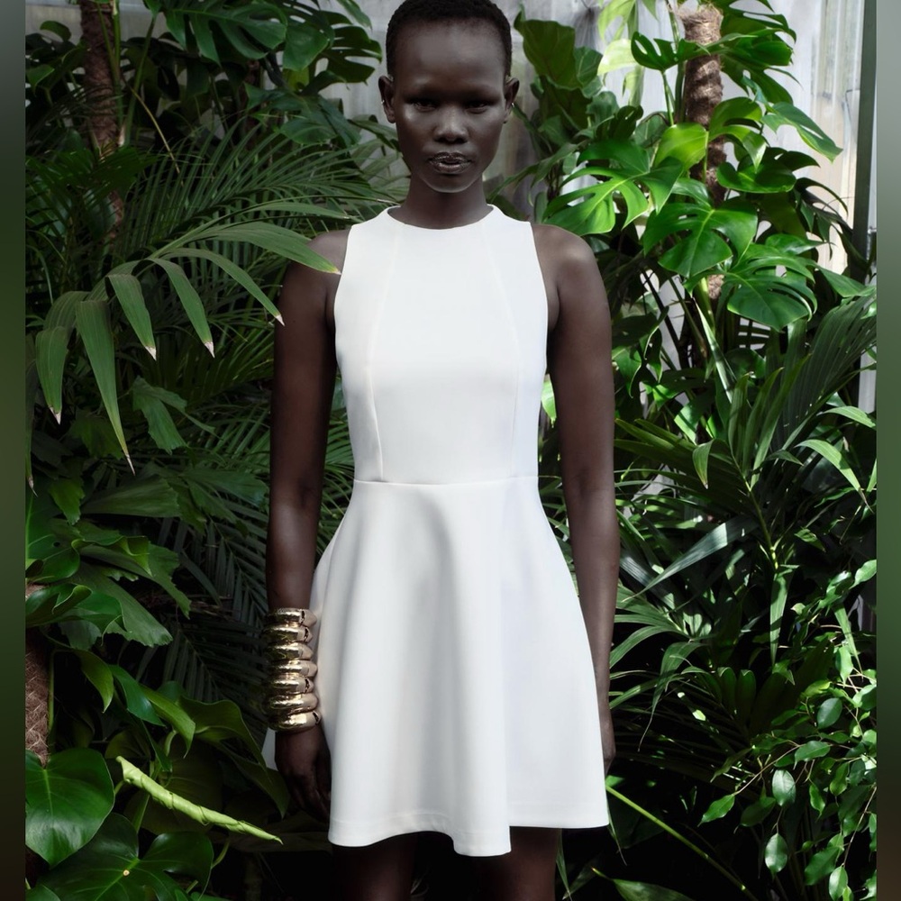 Zara ruffle dress